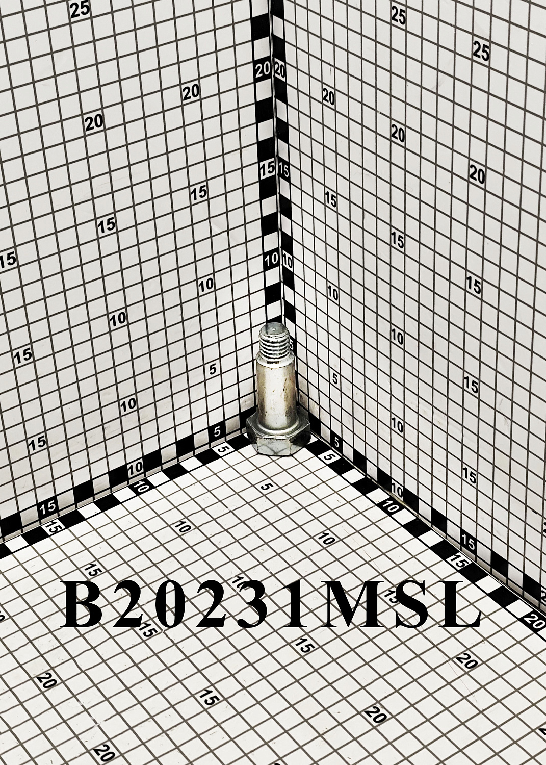 Болт B20231MSL (10007222)