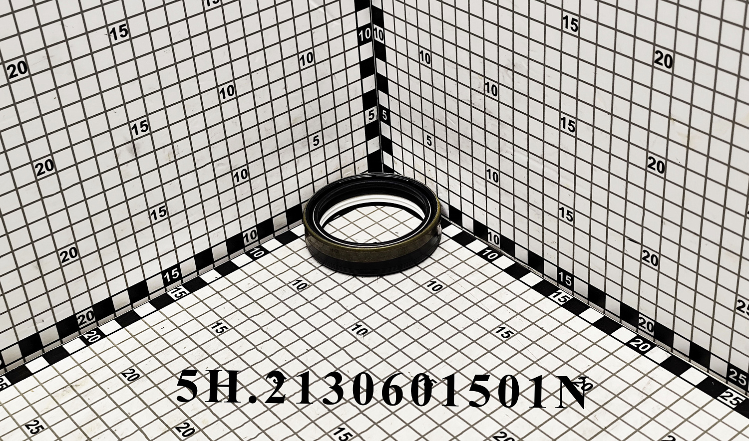Сальник 5H.2130601501N