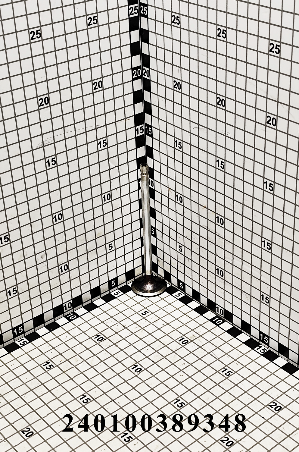 Клапан впускной 240100389348 (S00002885 07)
