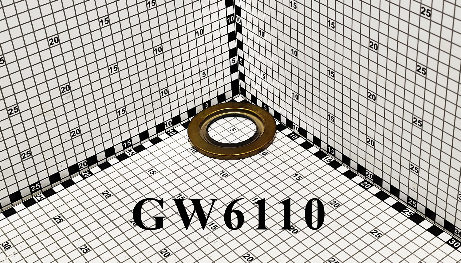 Кольцо внешнее подшипника GW6110 (10018110)