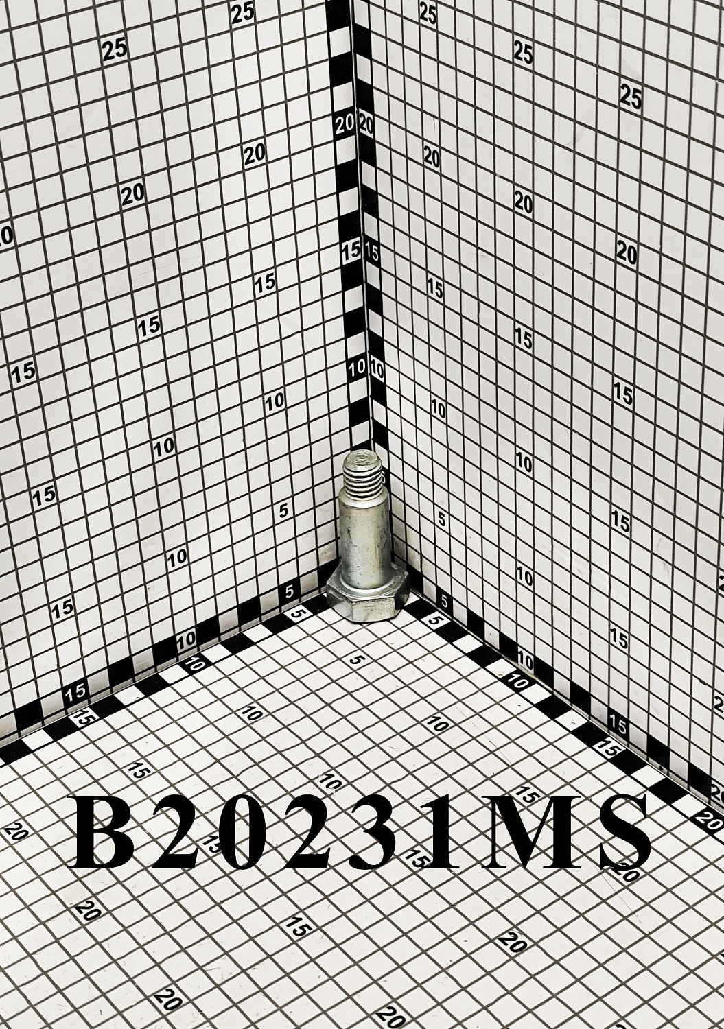 Болт B20231MS (10007221)