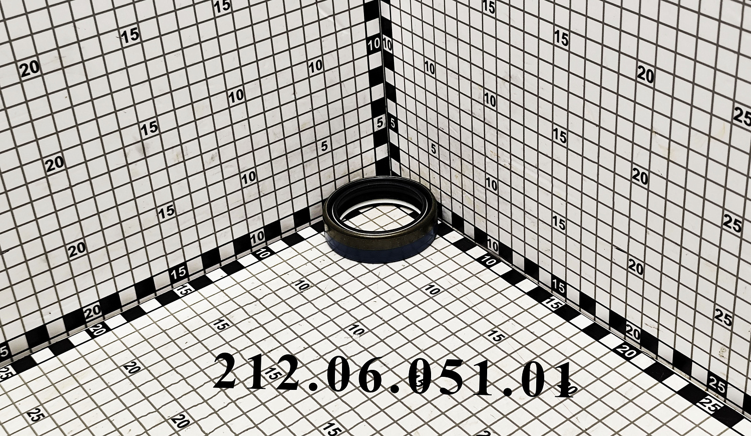 Сальник 212.06.051.01