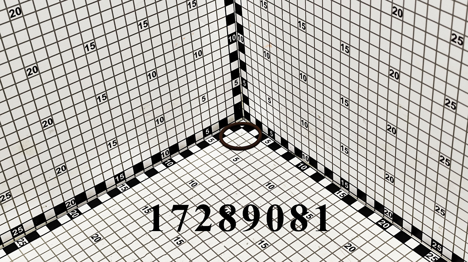 Кольцо 17289081 CNHi